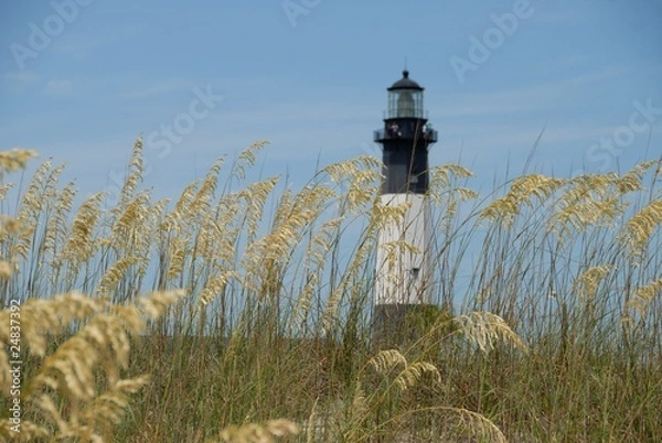 Fototapeta Sea Oats with lighthouse in background