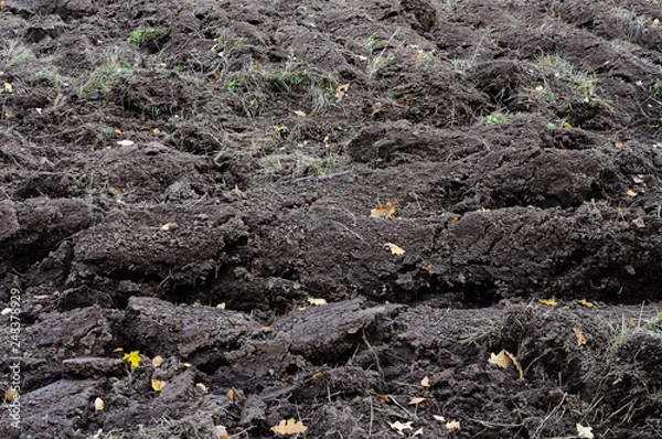 Obraz Black arable background