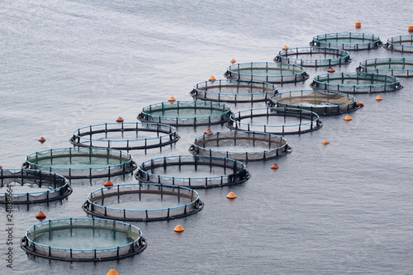 Fototapeta Aquaculture