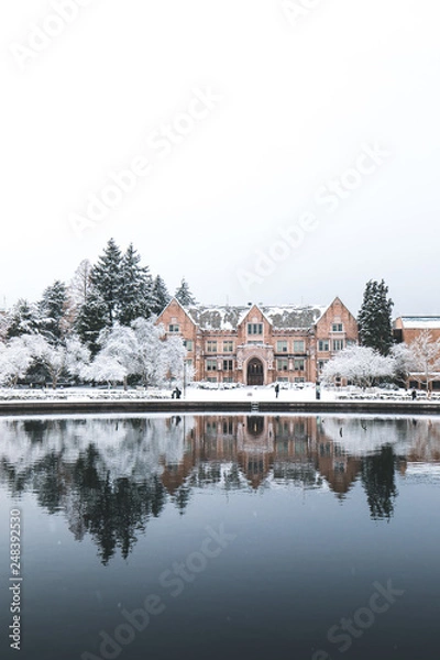 Fototapeta University of Washington, February 2019