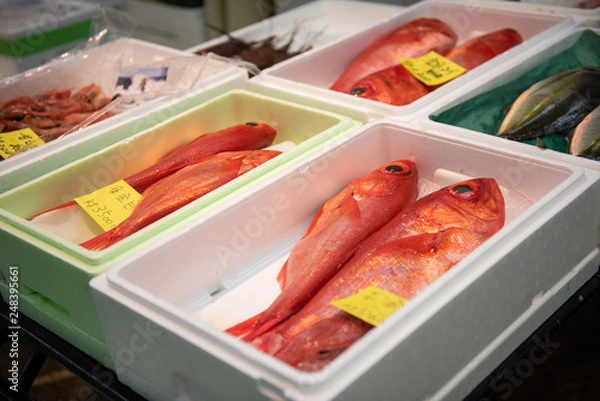 Obraz Fresh splendid alfonsino or Fresh Kinmedai on ice in form box at the fish market in Yanagibashi Central Market. Japan.