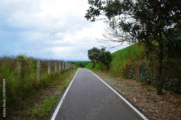 Obraz road in the forest