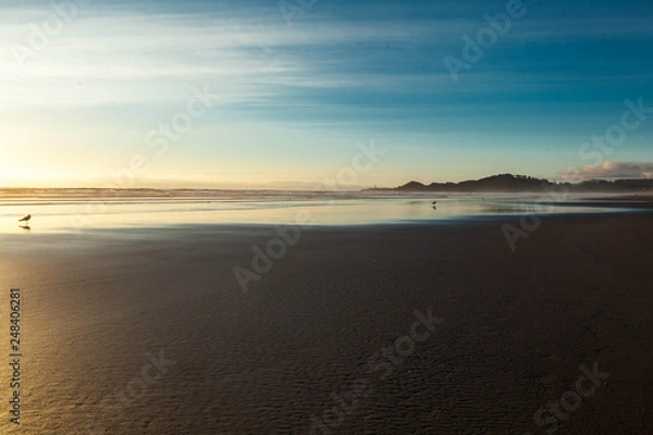 Obraz Empty beach in Oregon USA