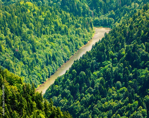 Obraz Pieniny