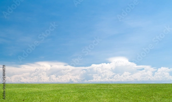 Obraz Paradise field