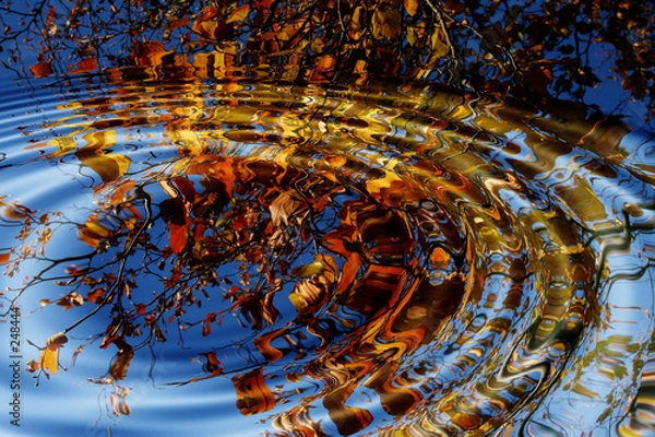 Obraz autumn splash.