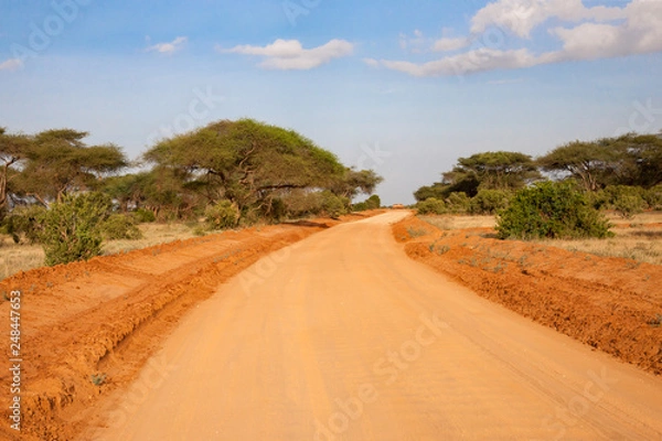 Fototapeta A way througth the savannah with a lot of plants