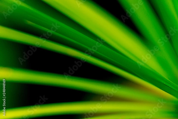 Fototapeta Abstract colored background close up. Macro.