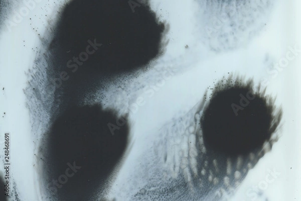 Obraz Abstract ink background. Marble style. Black paint stroke texture on white paper. Wallpaper for web and game design. Grunge mud art. Macro image of pen juice. Dark Smear.