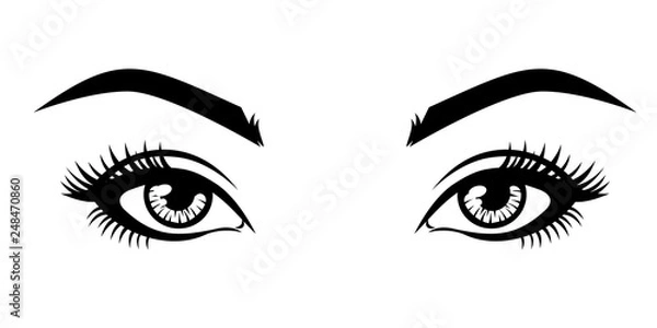 Fototapeta Abstract fashion illustration of the natural eyebrows and eyelashes. Vector idea for business visit cards, templates, web, salon banners, brochures. .