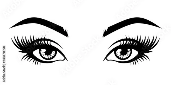 Fototapeta Illustration of woman's sexy luxurious eye with eyebrows and full lashes. Idea for business visit card, typography vector. Perfect salon look. .