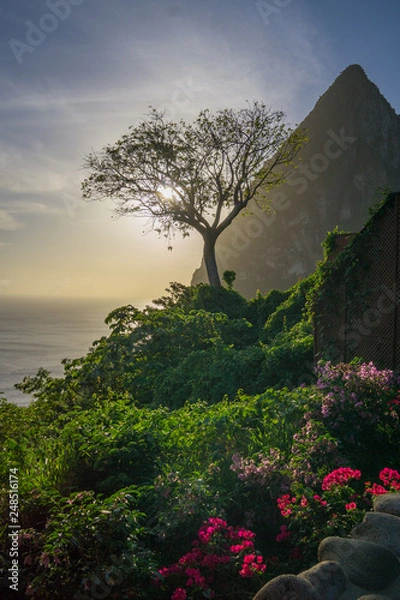 Obraz St. Lucia View Shining Through