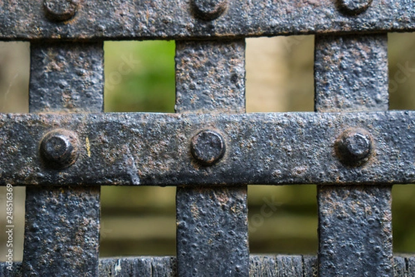 Obraz Iron gate closed