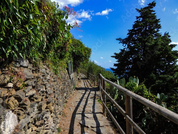 Obraz Cinque Terre Trail