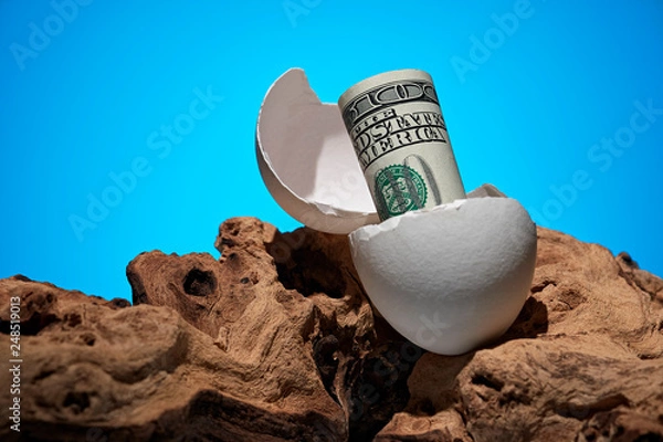 Obraz Conceptual photo. A hundred dollar bill rolled out of an egg. Near a piece of wood.