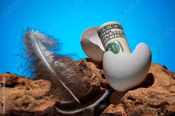 Obraz Conceptual photo. A hundred dollar bill rolled out of an egg. Near a piece of wood and a bird feather.