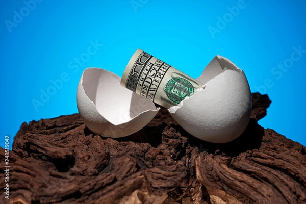 Obraz Conceptual photo. A hundred dollar bill rolled out of an egg. Near a piece of wood.