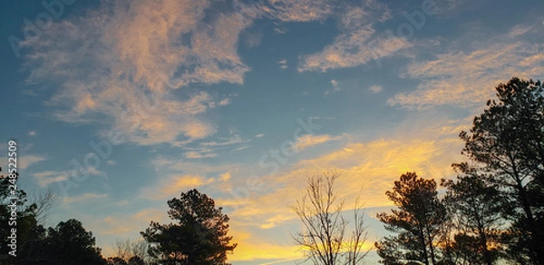 Obraz tree at sunrise