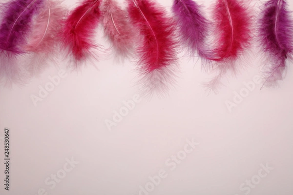 Obraz Red feathers border for Fastelavn