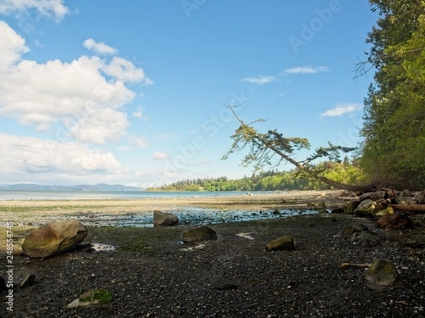 Fototapeta Mt. Douglas Park beach