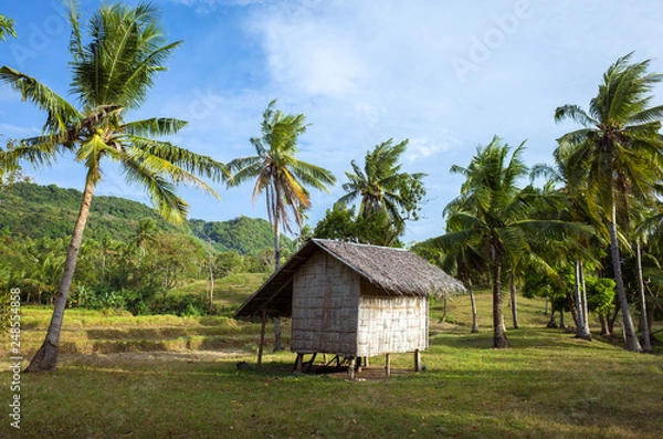 Obraz Bamboo hut on Filipino Farm in Camiguin, Mindanao