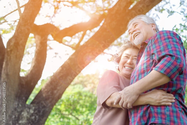 Obraz Portrait happiness older couple. Charming grandfather and grandmother is embracing each other with love and smiley faces in a park. Grandparents have good health and enjoy their life with sunlight