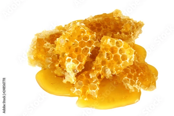 Obraz Honey in honeycombs isolated on white