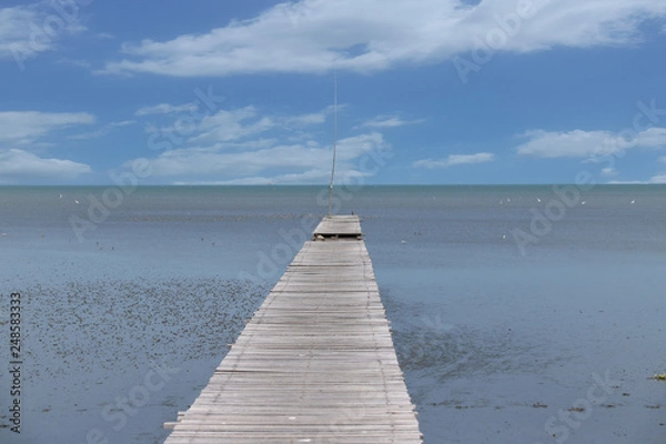 Fototapeta A wooden bridge that stretches to the sea on a clear day – Image   