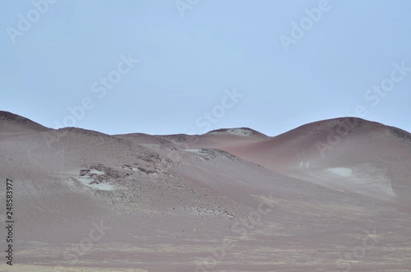 Obraz Into the desert