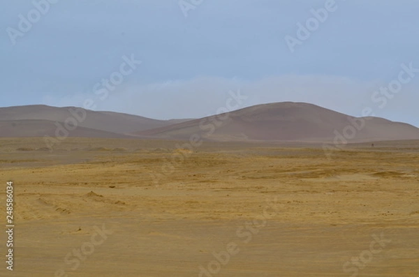 Obraz Into the desert