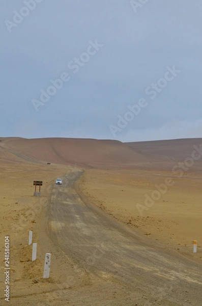 Obraz Into the desert