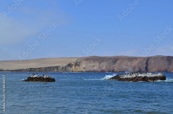 Obraz Desert and sea