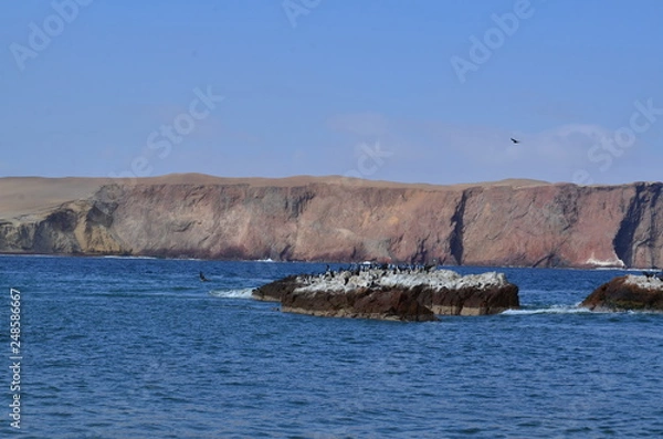 Obraz Desert and sea
