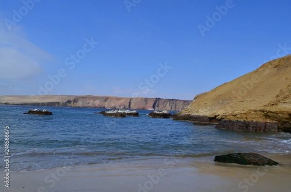 Obraz Desert and sea