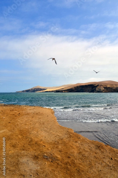 Obraz Desert and sea