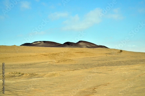 Obraz Into the desert