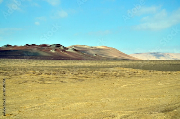 Obraz Into the desert