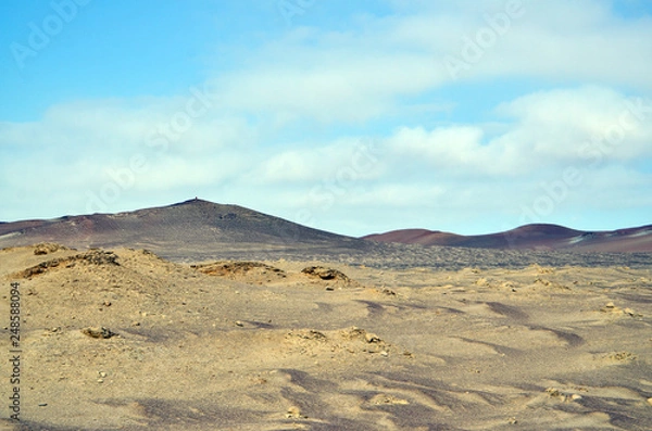 Obraz Into the desert