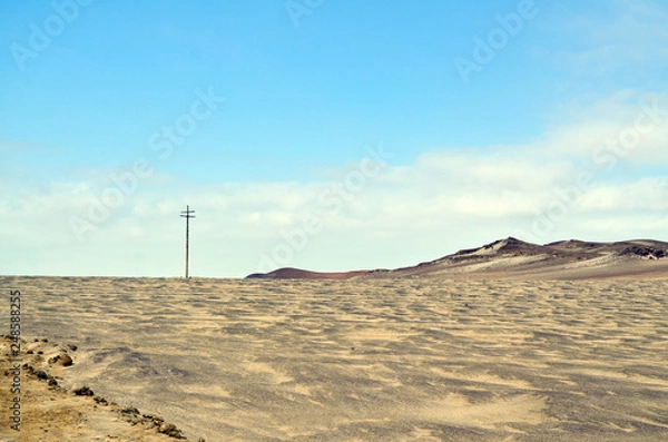 Obraz Into the desert