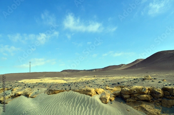 Obraz Into the desert