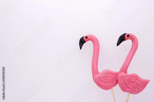 Fototapeta Lollipops in the form beautiful flamingo
