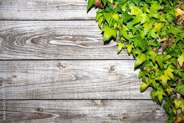 Obraz 木製の看板