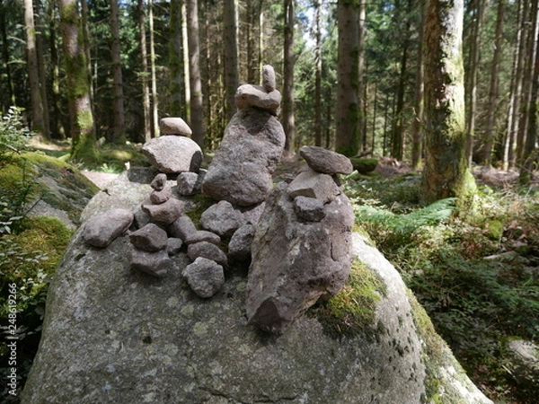 Obraz Oiseaux de pierre