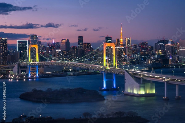 Obraz 東京湾の夜景　レインボーブリッジとビル群２