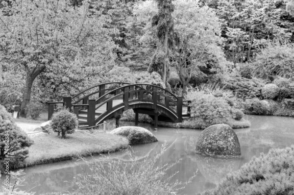 Obraz Jardin japonais