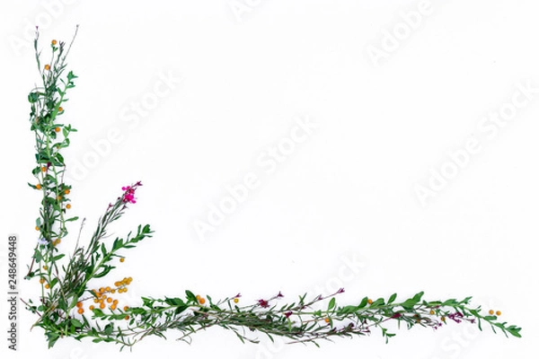 Fototapeta abstract floral background with flowers