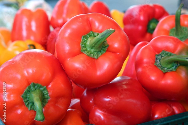Fototapeta red and yellow peppers. mixed colors bell peppers close up top view