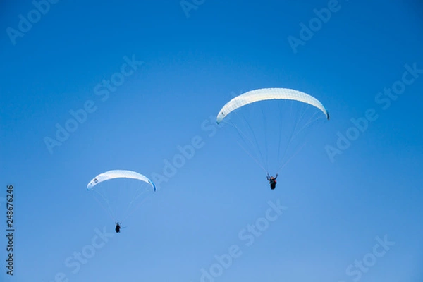 Fototapeta Paraglider Instructors Flying with Customers in Blue Summer Sky