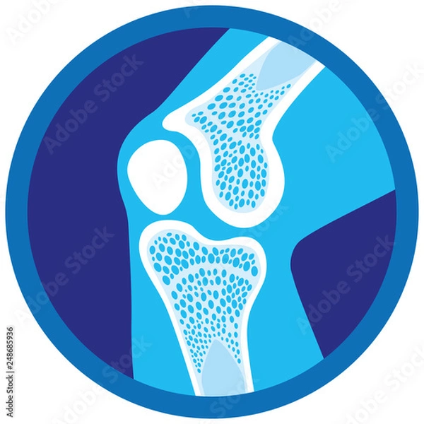 Fototapeta Icon or symbol of orthopedic health, knee, joints. Ideal for informative and institutional materials of medicine