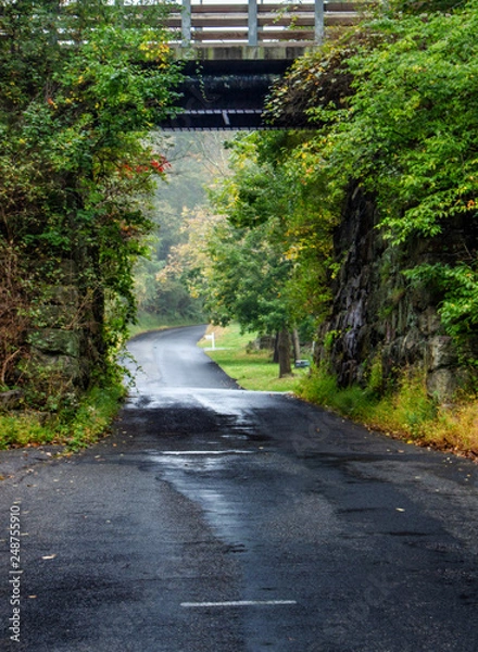 Fototapeta Rural bridge after the rain